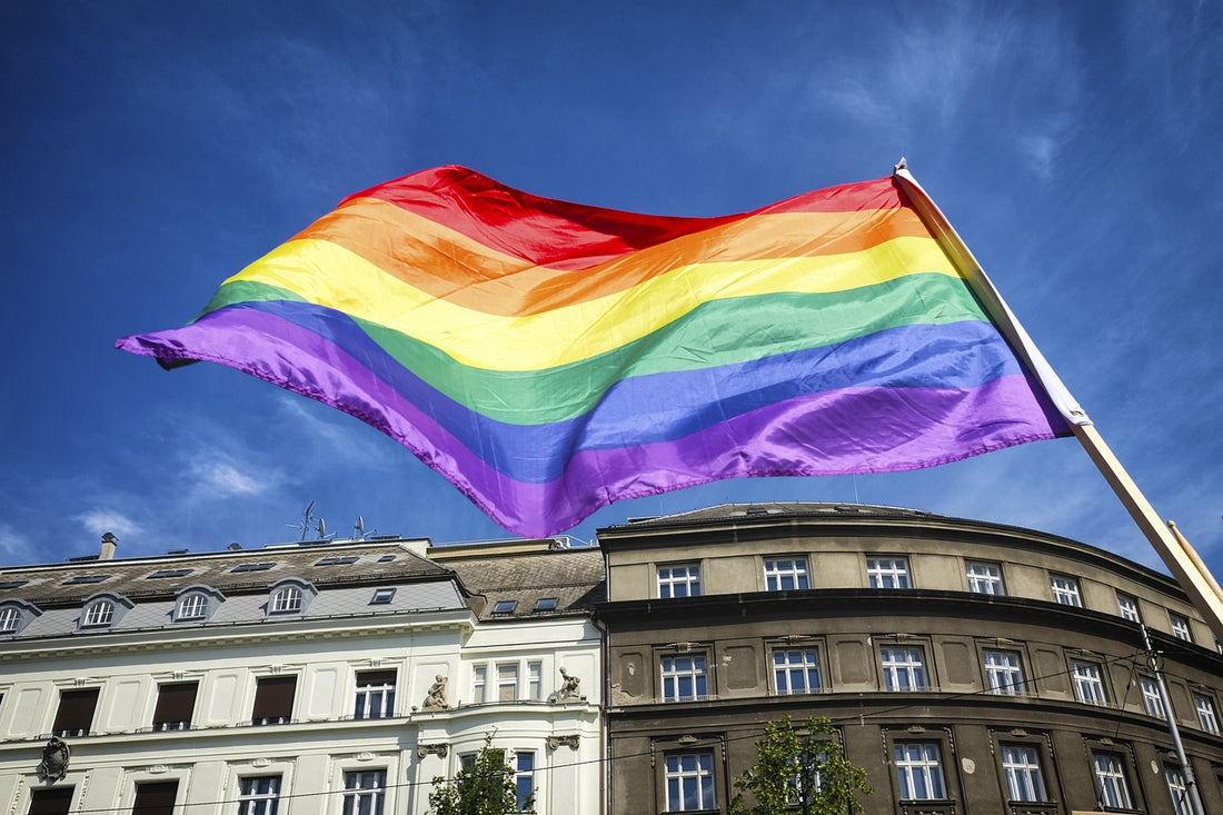 Shedding Light on the Limited Visibility of LGBTQ+ in Law