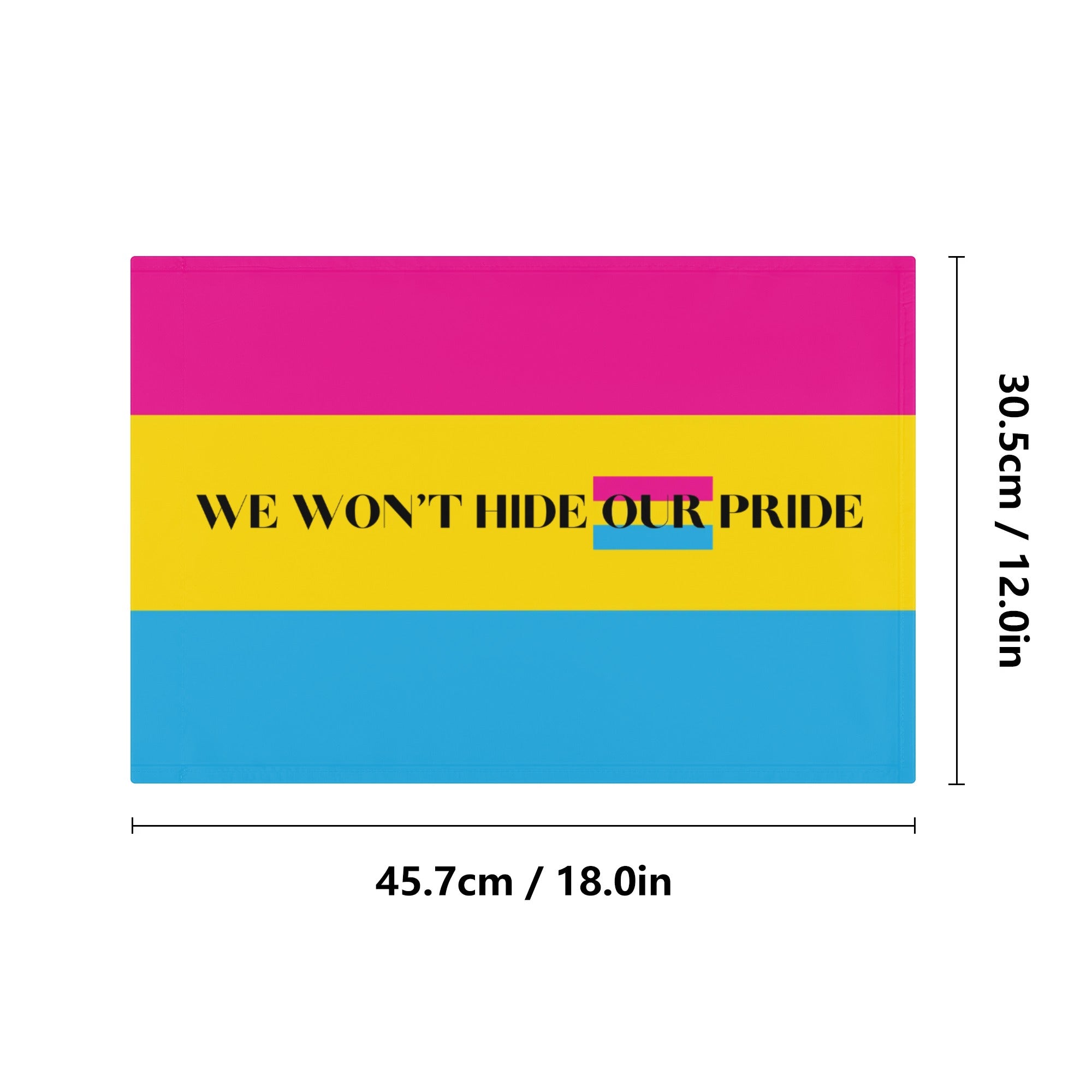LGBT_Pride-We Wonr Hide Our Pride Pansexual Car Flag 12 x 18 - Rose Gold Co. Shop