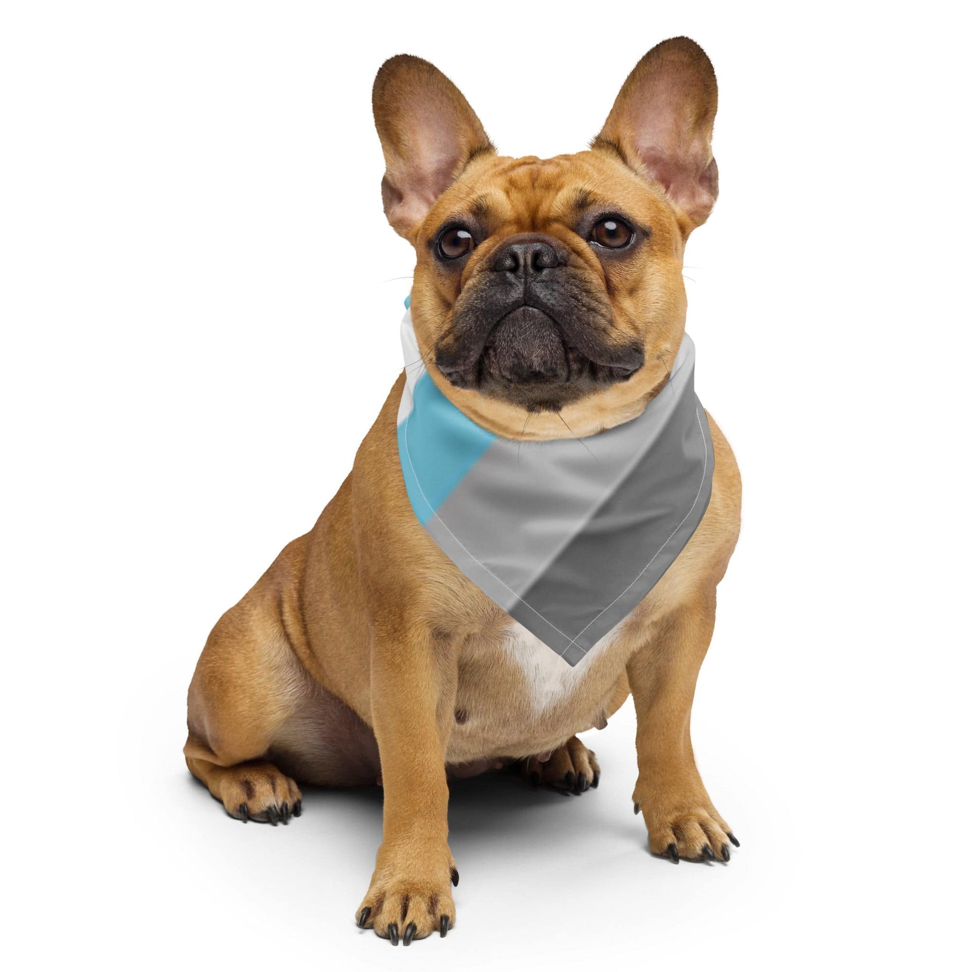 Demi Boy Pride print bandana - Rose Gold Co. Shop