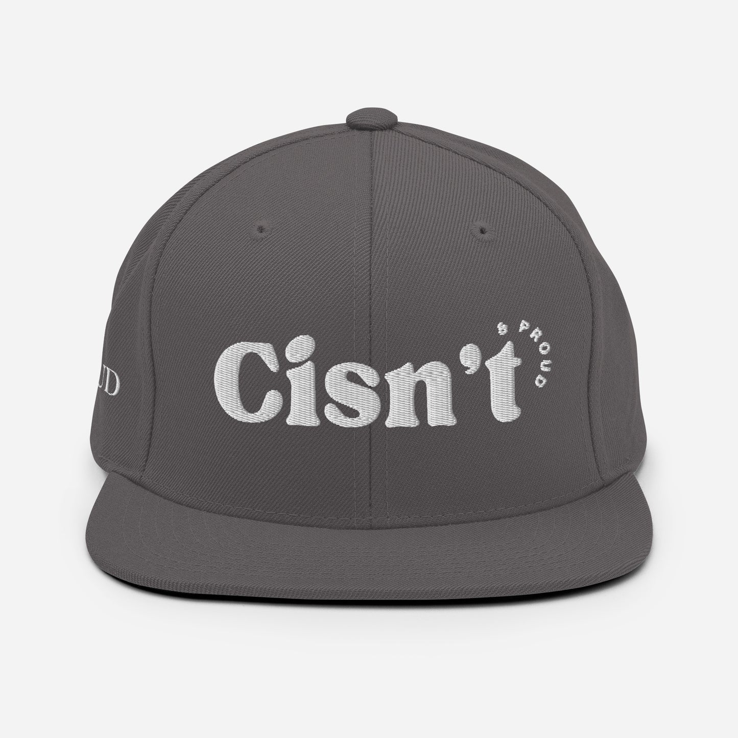 Cisn't Snapback Hat