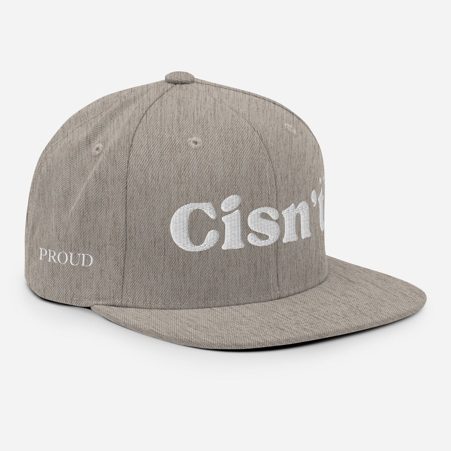 Cisn't Snapback Hat