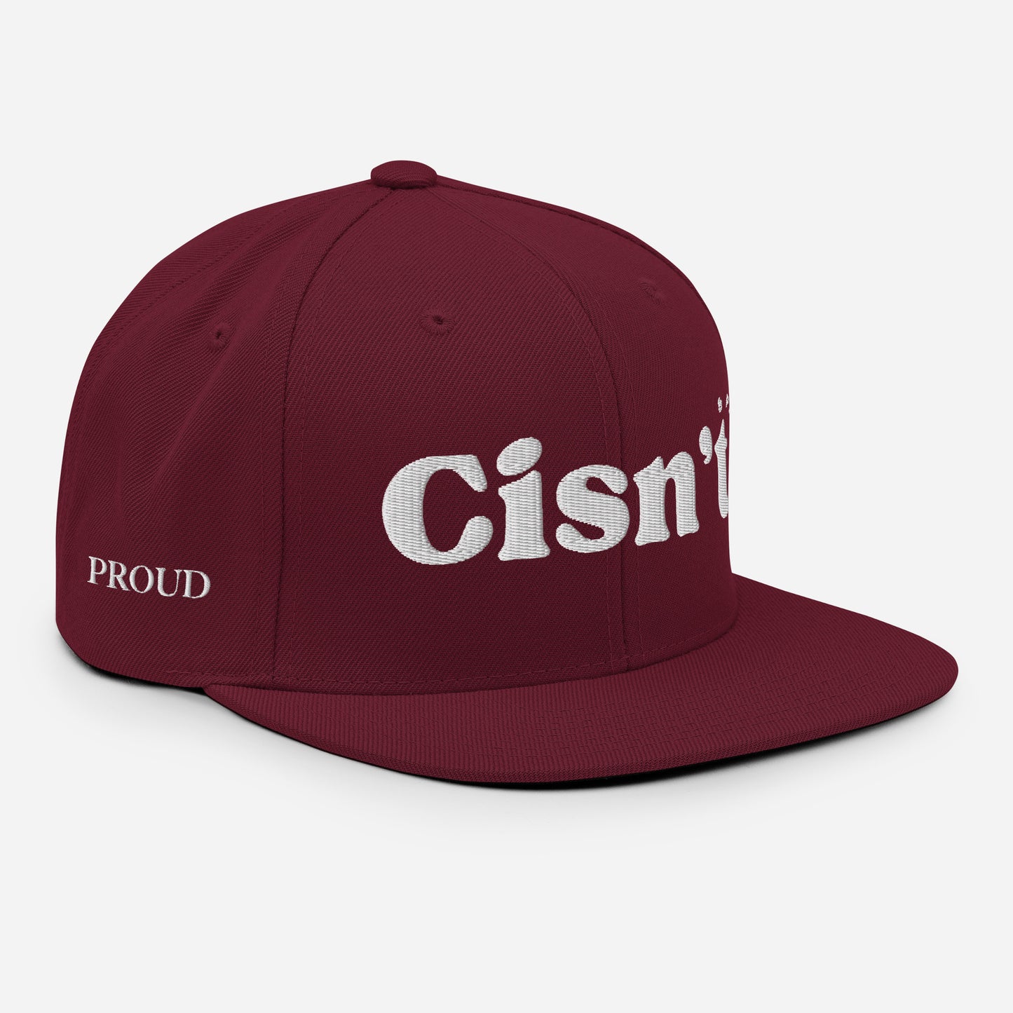 Cisn't Snapback Hat