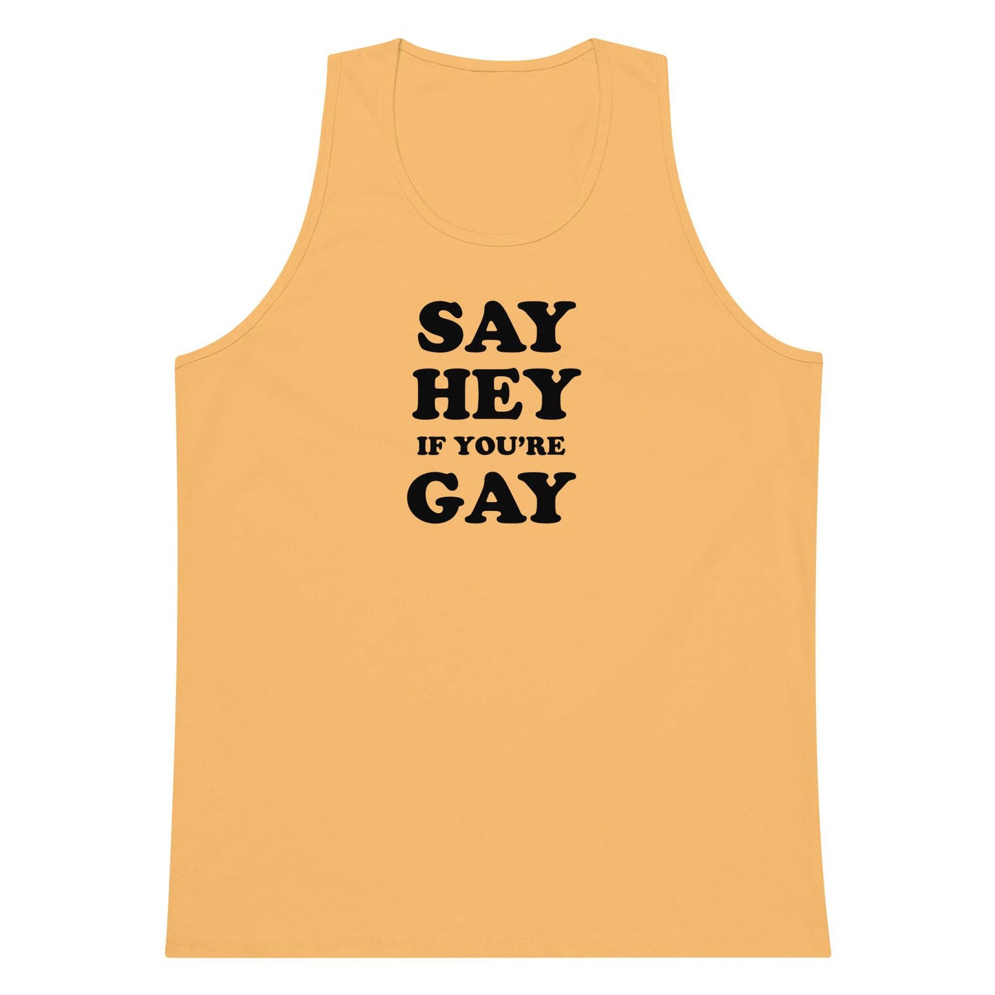 Sounds Gay I'm in premium tank top - Rose Gold Co. Shop