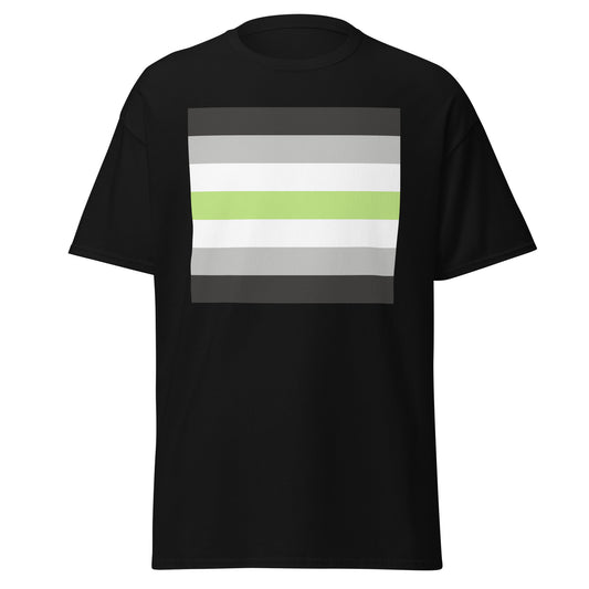 Agender Pride Flag T Shirt