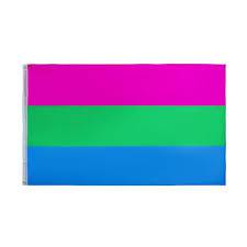 Polysexual Pride Flag 3x5ft